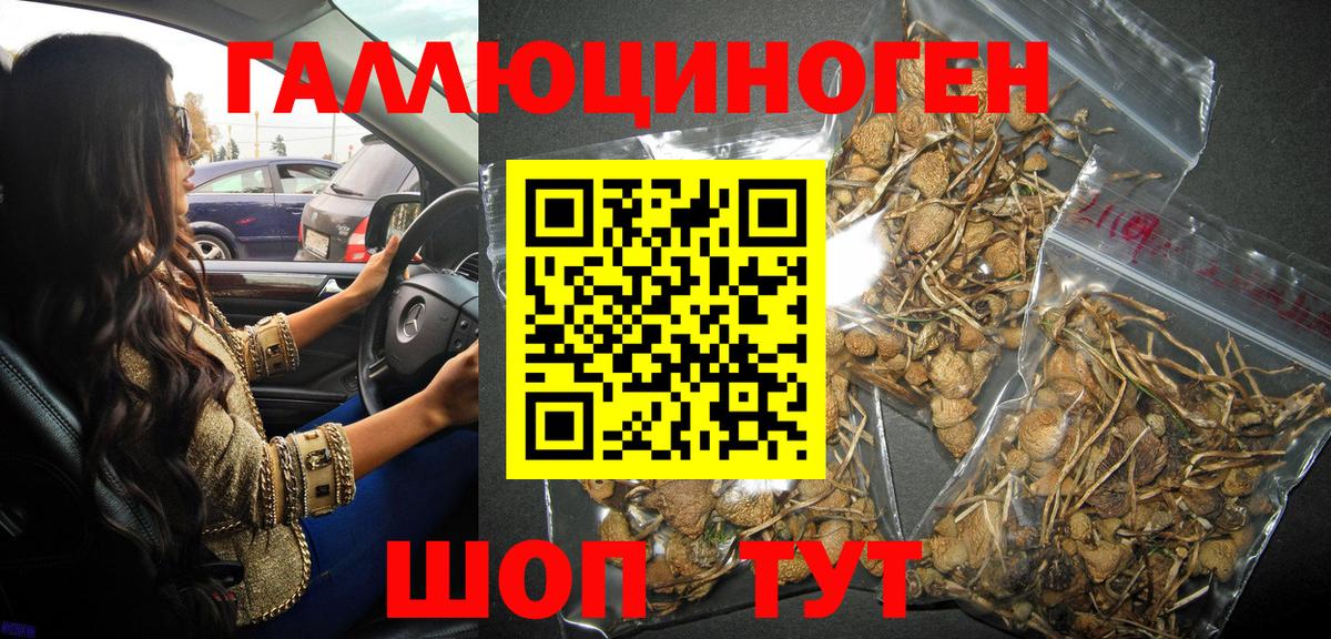Конопля  ГЕРОИН  Лсд 25  КОКАИН  Магазин наркотиков  Вход с VPN  Новокуйбышевск  A PVP СК кристаллы  ЭКСТАЗИ  МЕФ   Гашиш  МЕТАМФЕТАМИН 