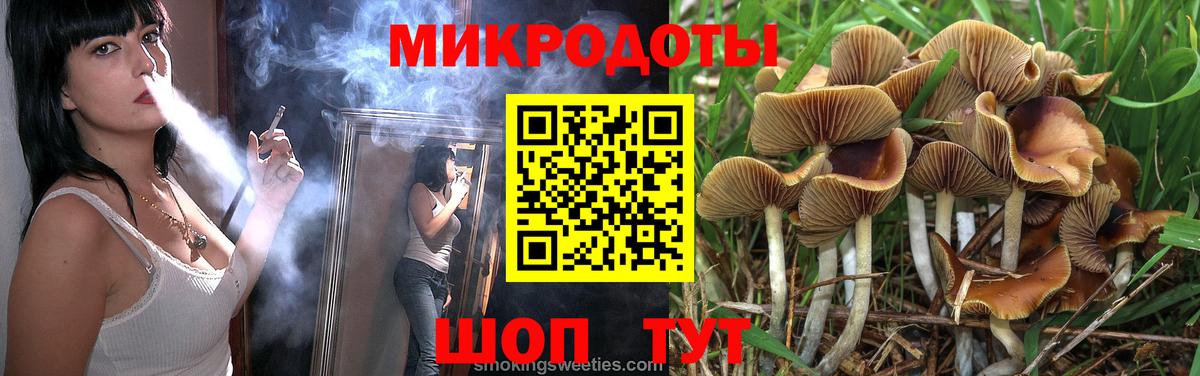 Галлюциногенные грибы прущие грибы Новокуйбышевск