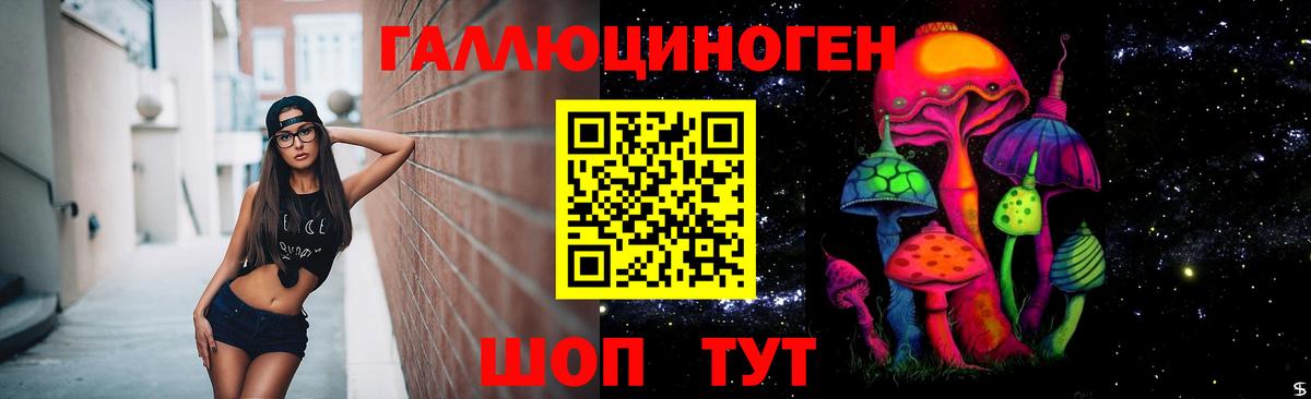 Галлюциногенные грибы Magic Shrooms  Галлюциногенные грибы мицелий  Вход с VPN  Новокуйбышевск 