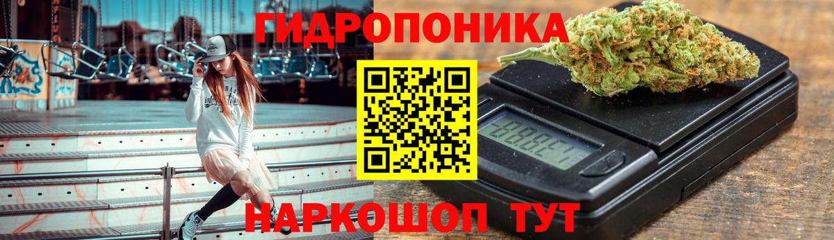 Конопля Bruce Banner Новокуйбышевск